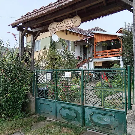 Std Verice Dordevic *